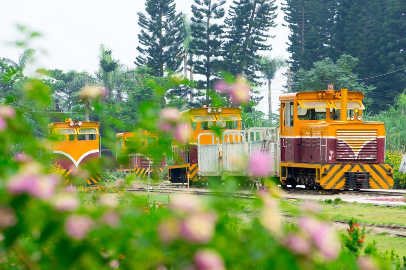 Bridge sugar factory