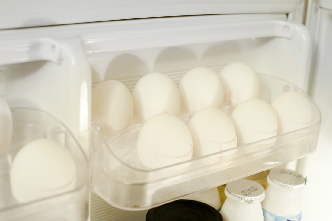eggs-refrigerator_orig