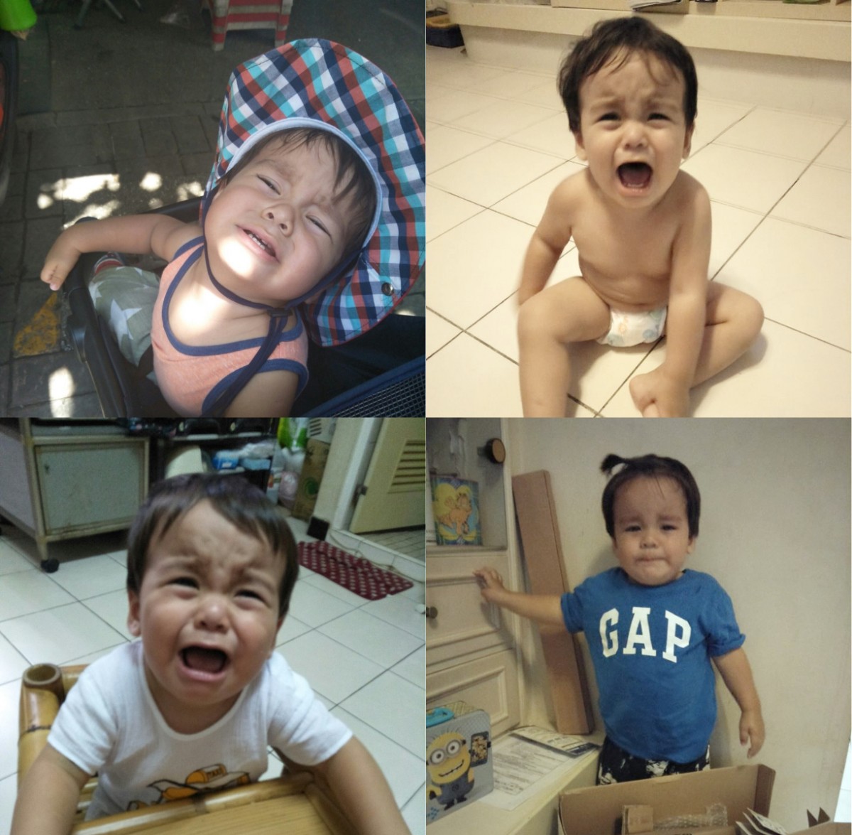 人生各種崩潰都能詮釋淋漓盡致