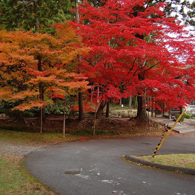 15823050026_e6b7c03421_o