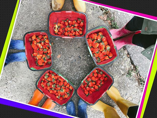 28752513_182534732396286_4966640120271732736_n