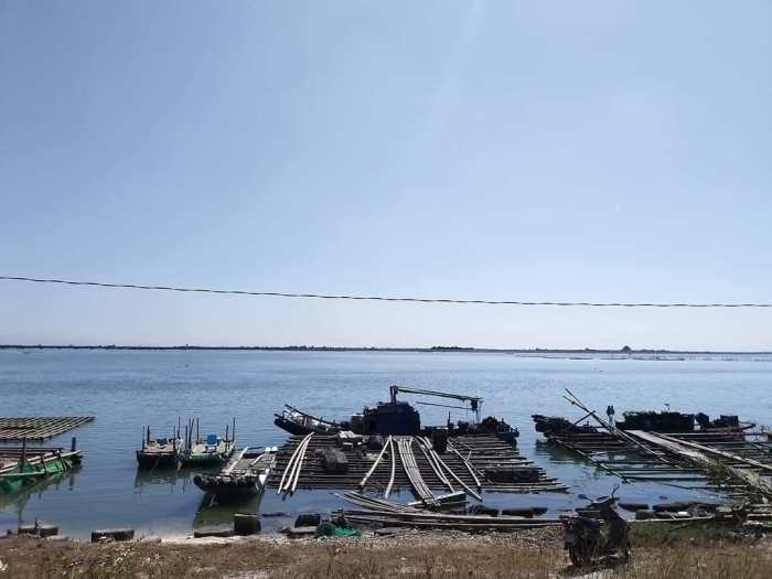 東石漁港+漁人碼頭