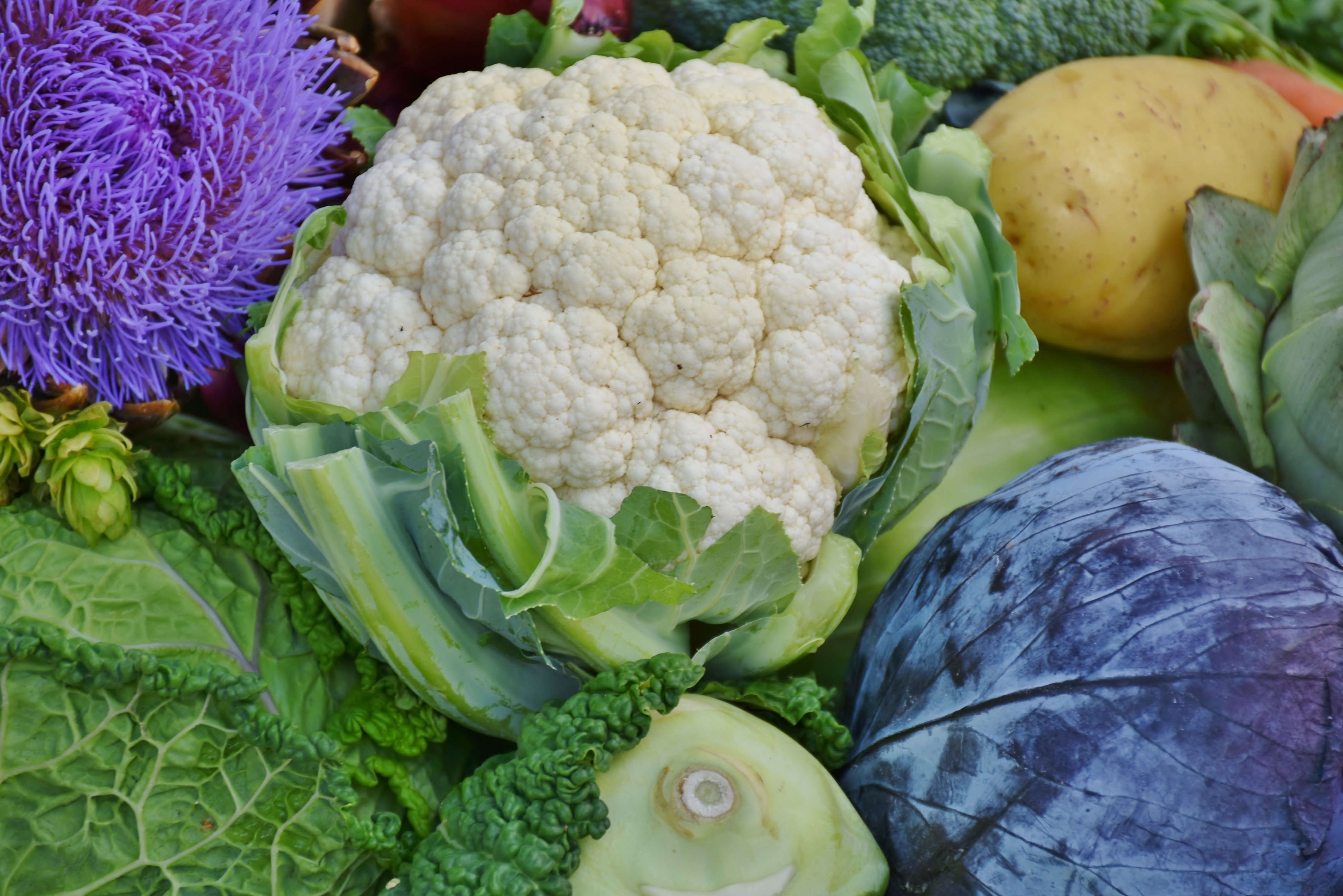 cauliflower-food-fresh-209426