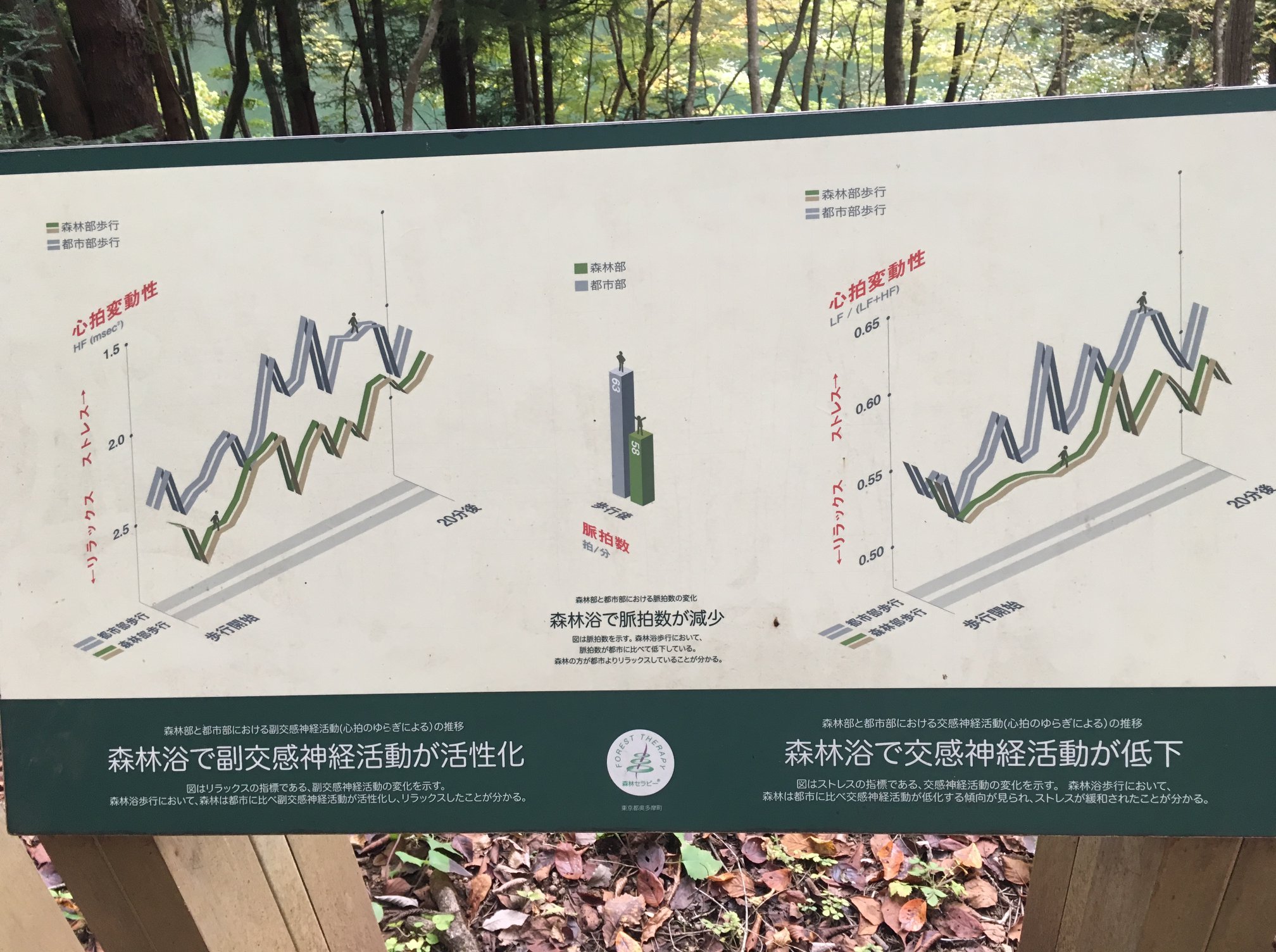 日本奧多摩森林療癒步道指示牌